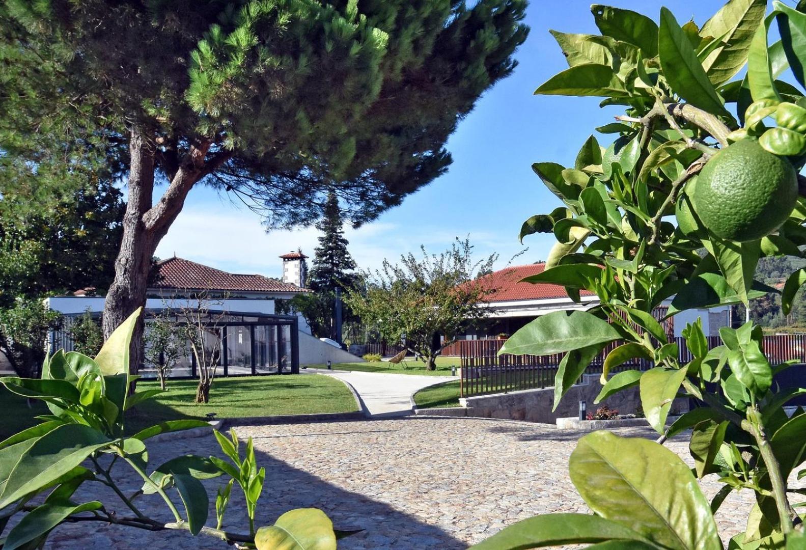 Alminhas Da Mindua - Unique Experiences By Luxistay Vitorino dos Piaes Exterior photo